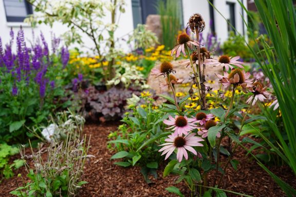Bunte Blumenbeete mit Sonnenhut, Lavendel und anderen Pflanzen vor einem Hintergrund.