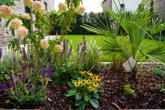 Bunte Blumen und Pflanzen in einem gepflegten Gartenbeet.