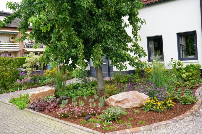Bunter Garten mit verschiedenen Pflanzen, Steinen und einem großen Baum.