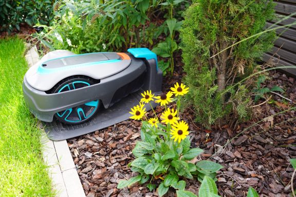 Rasenmäher neben gelben Blumen und Sträuchern im Garten.