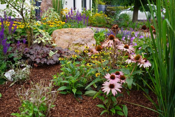 Bunte Blumenbeete mit Sonnenhut, Echinacea und einem großen Stein in einem Garten.
