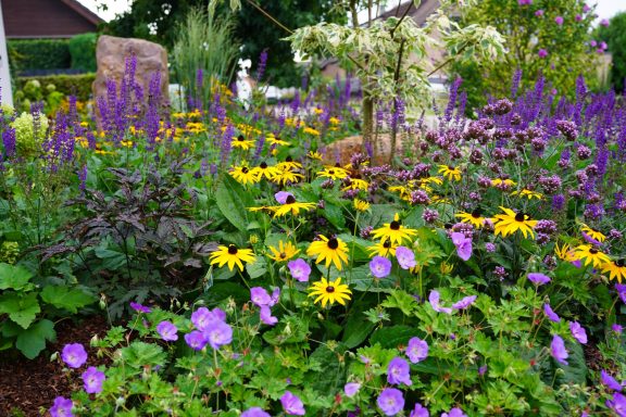 Bunte Blumenwiese mit gelben, violetten und grünen Pflanzen in harmonischer Anordnung.