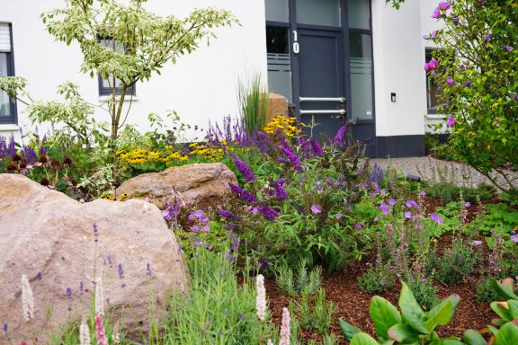 Bunte Blumen und Sträucher in einem Garten mit großen Steinen und einem modernen Gebäude.